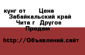 кунг от 66 › Цена ­ 10 000 - Забайкальский край, Чита г. Другое » Продам   